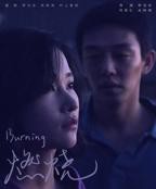 燃烧电影韩国在线完整版