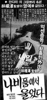 花蝴蝶免费播放高清电视剧