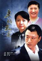 《夫妻》免费观看在线高清电视剧